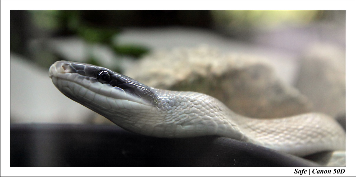 2009   08   Kho samui 03